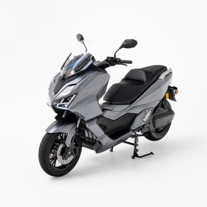 model lion - efun - camps motor