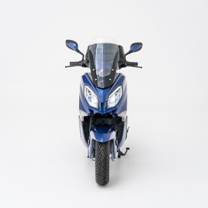 EFUN Girona - model tiger