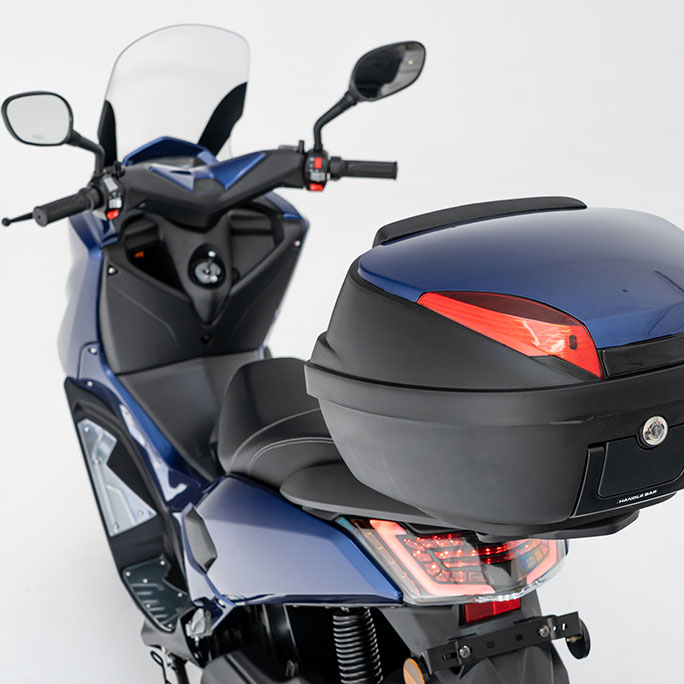 EFUN Girona - model tiger