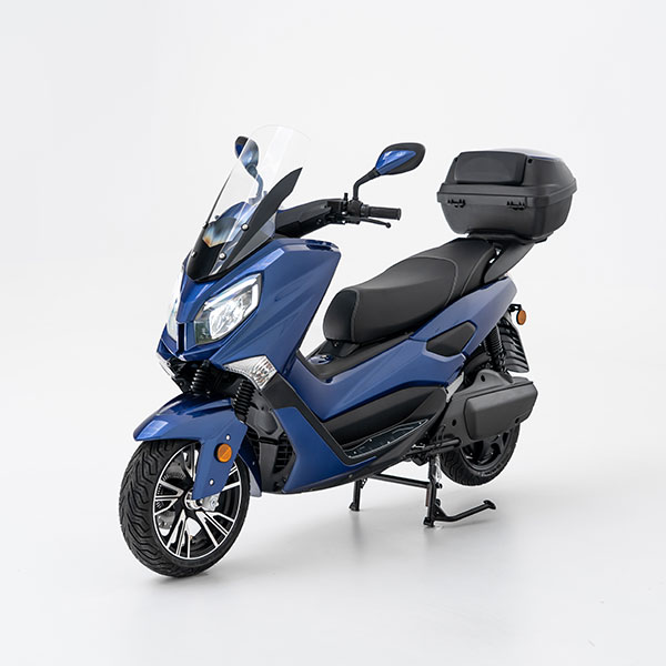 EFUN Girona - model tiger